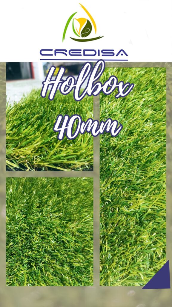 holbox