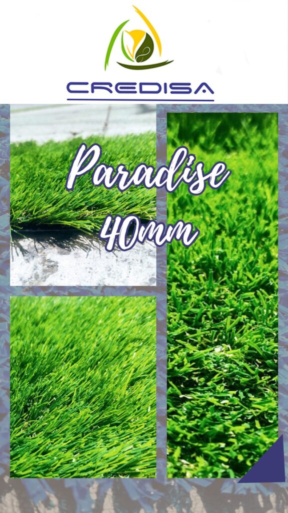 paradise