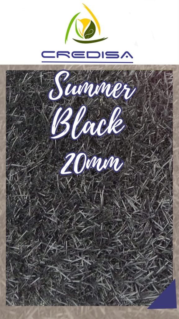 summer black