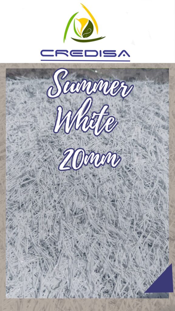 summer blanco