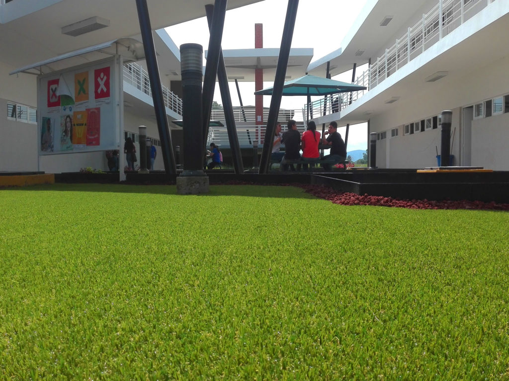 FotosPastoEscolar002 1024x768 1