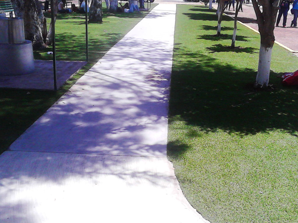 FotosPastoEscolar013 1024x768 1