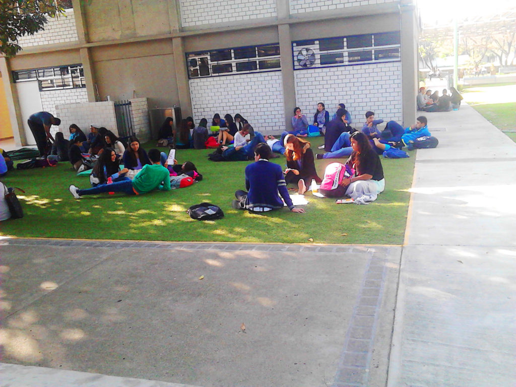 FotosPastoEscolar020 1024x768 1