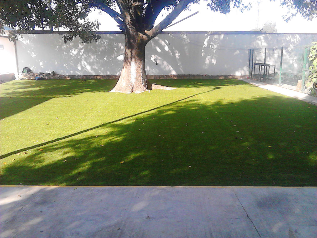 FotosPastoEscolar021 1024x768 1