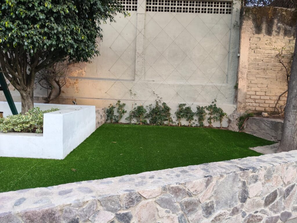 whatsapp image 2026 01 27 at 11.44.23 am (1)