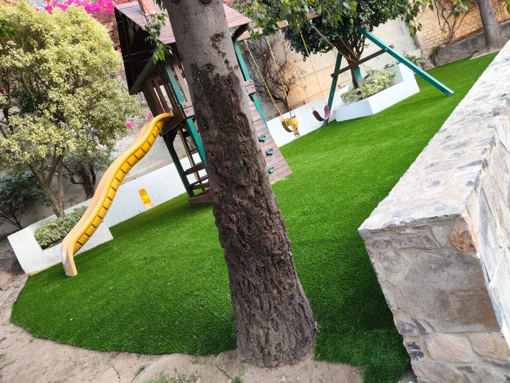 whatsapp image 2026 01 27 at 11.44.23 am