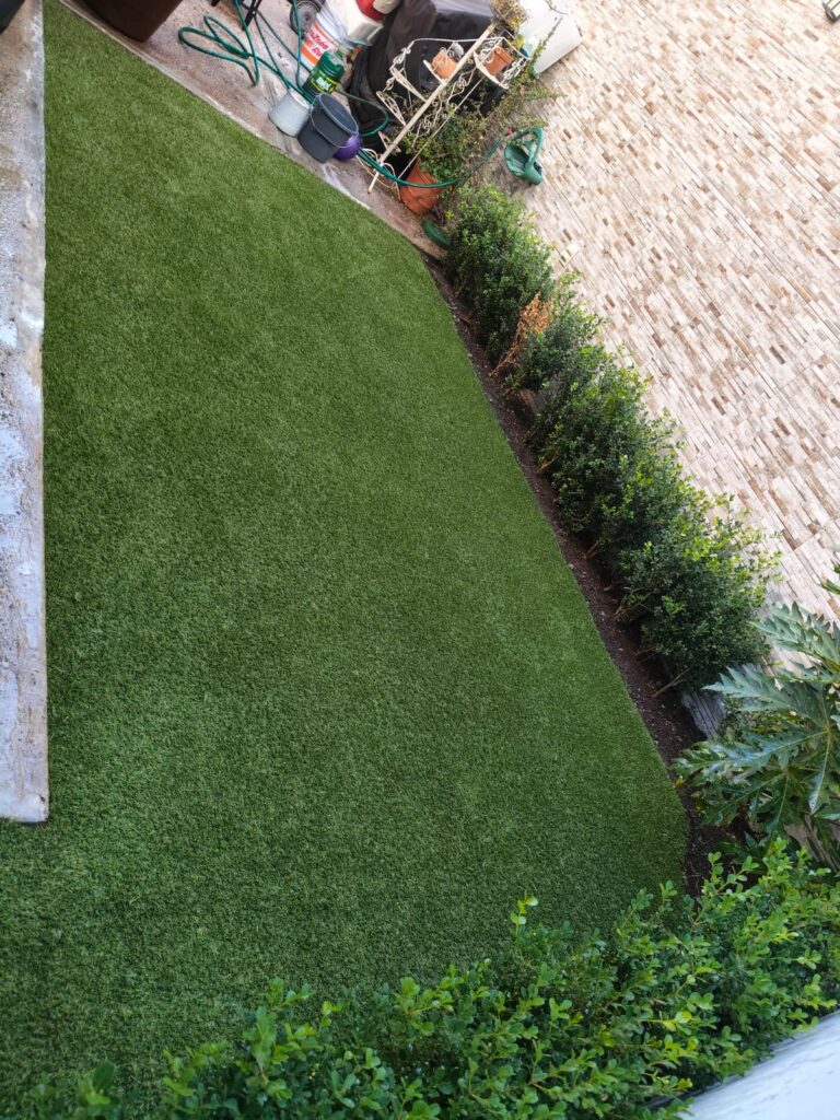 whatsapp image 2026 01 27 at 11.45.06 am (1)