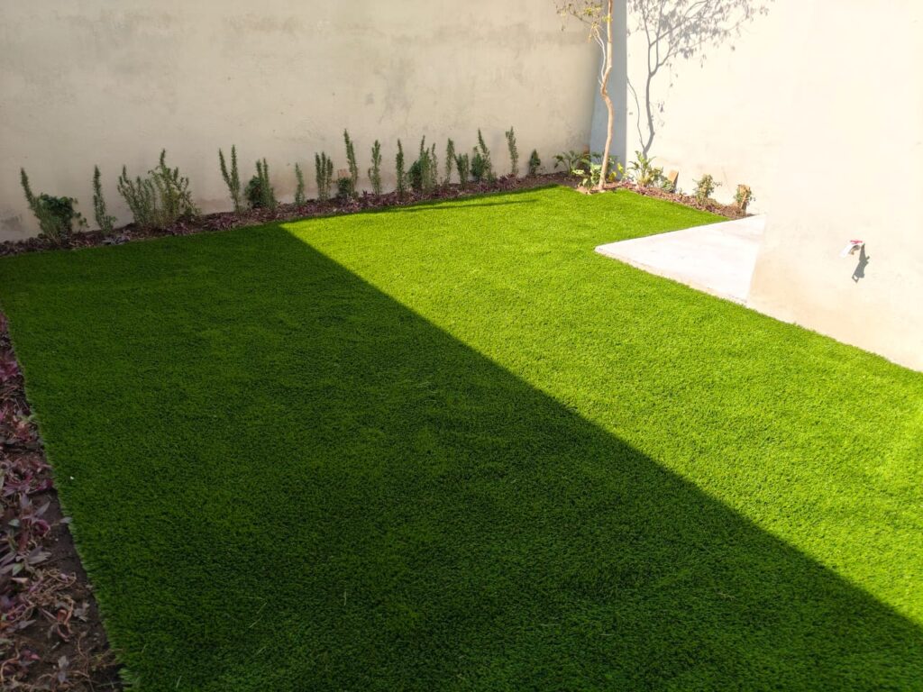 whatsapp image 2026 01 27 at 11.45.16 am (1)