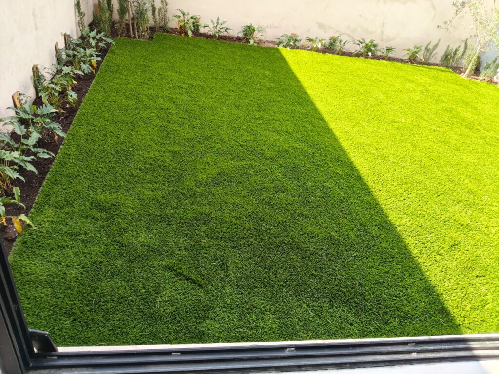 whatsapp image 2026 01 27 at 11.45.16 am (2)