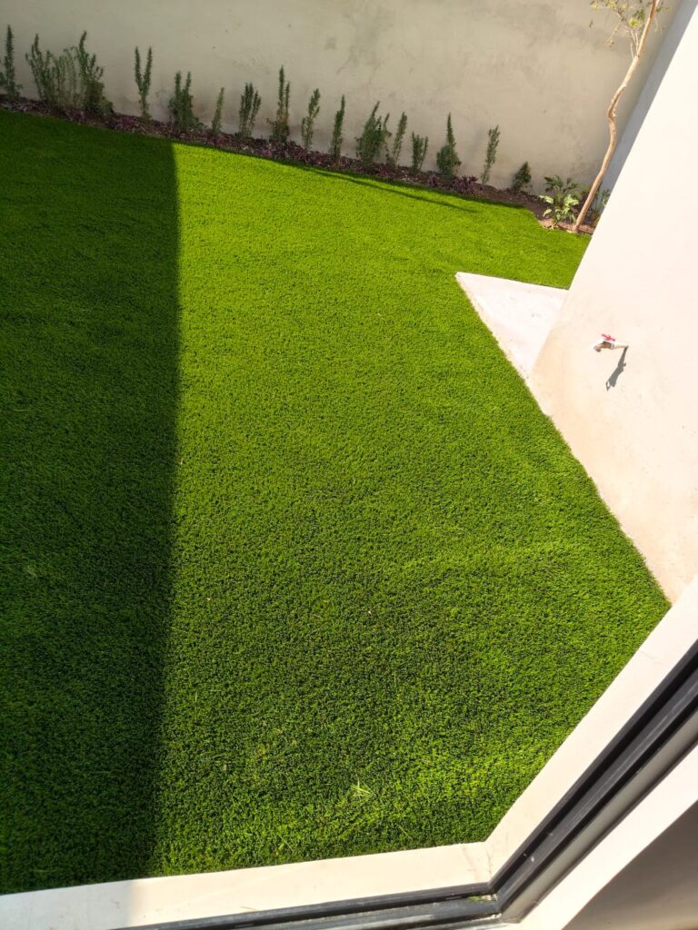 whatsapp image 2026 01 27 at 11.45.16 am (3)