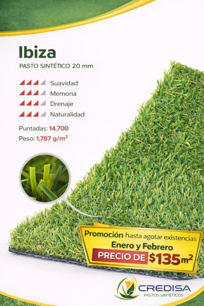 whatsapp image 2026 01 28 at 12.32.07 pm (1)