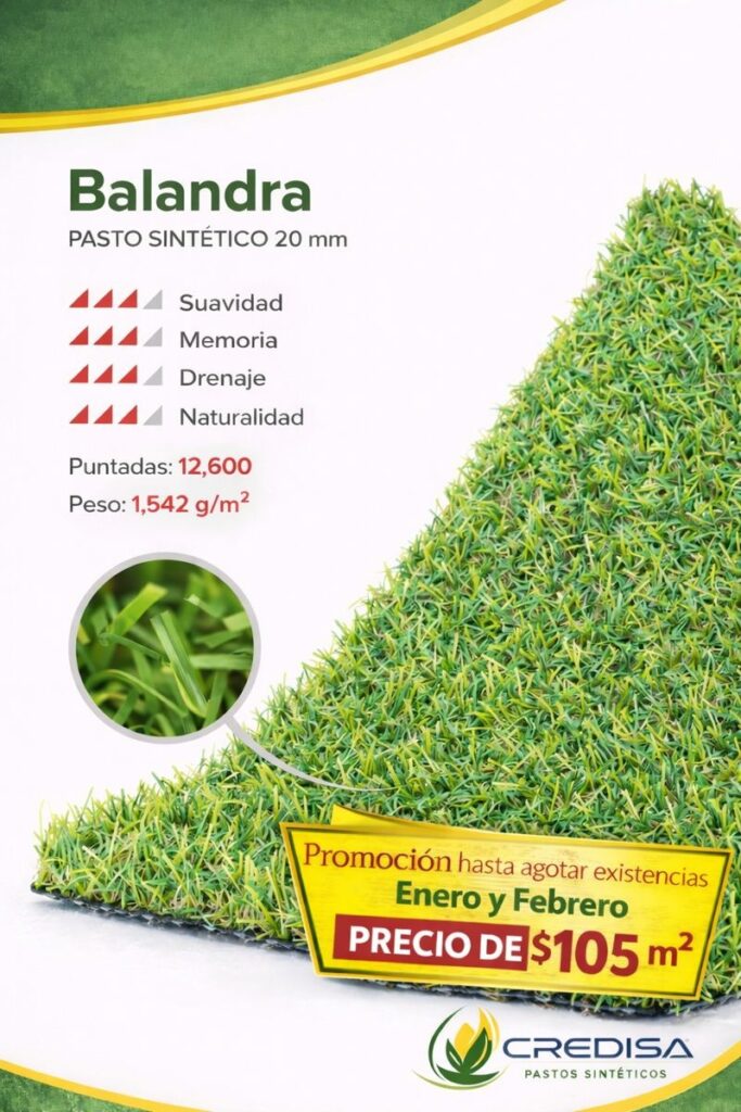 whatsapp image 2026 01 28 at 12.32.07 pm