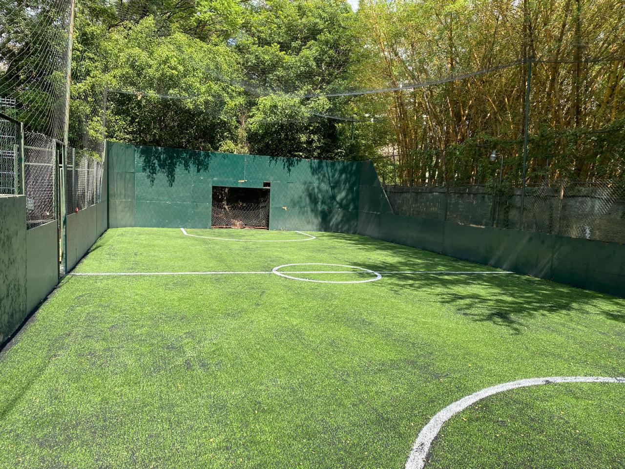 Estadio Pasto Sintético