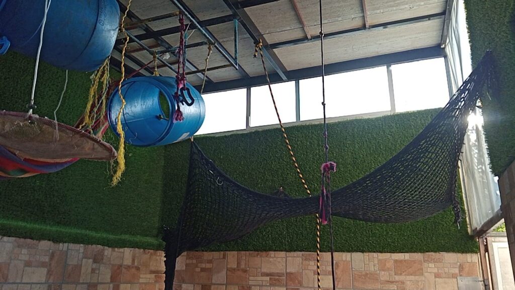 5595ce85 4303 47cb 8e14 3549f712a68b