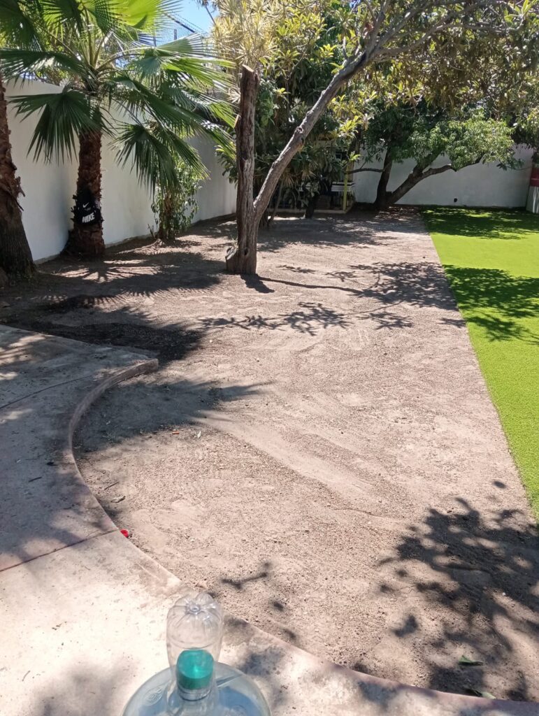 d2c25506 55f0 491a 96f0 8b2c7278025a