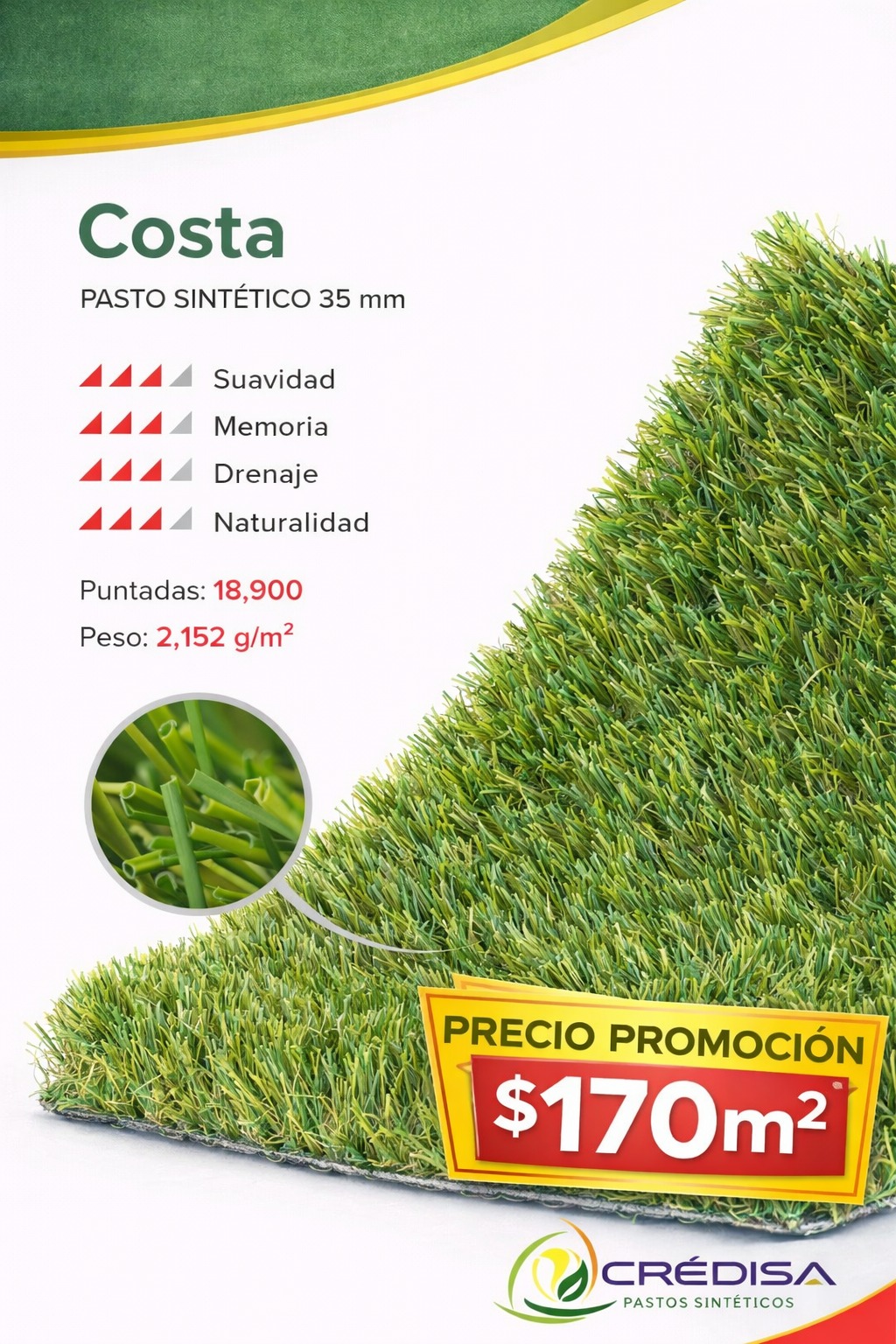 Pasto en oferta 6
