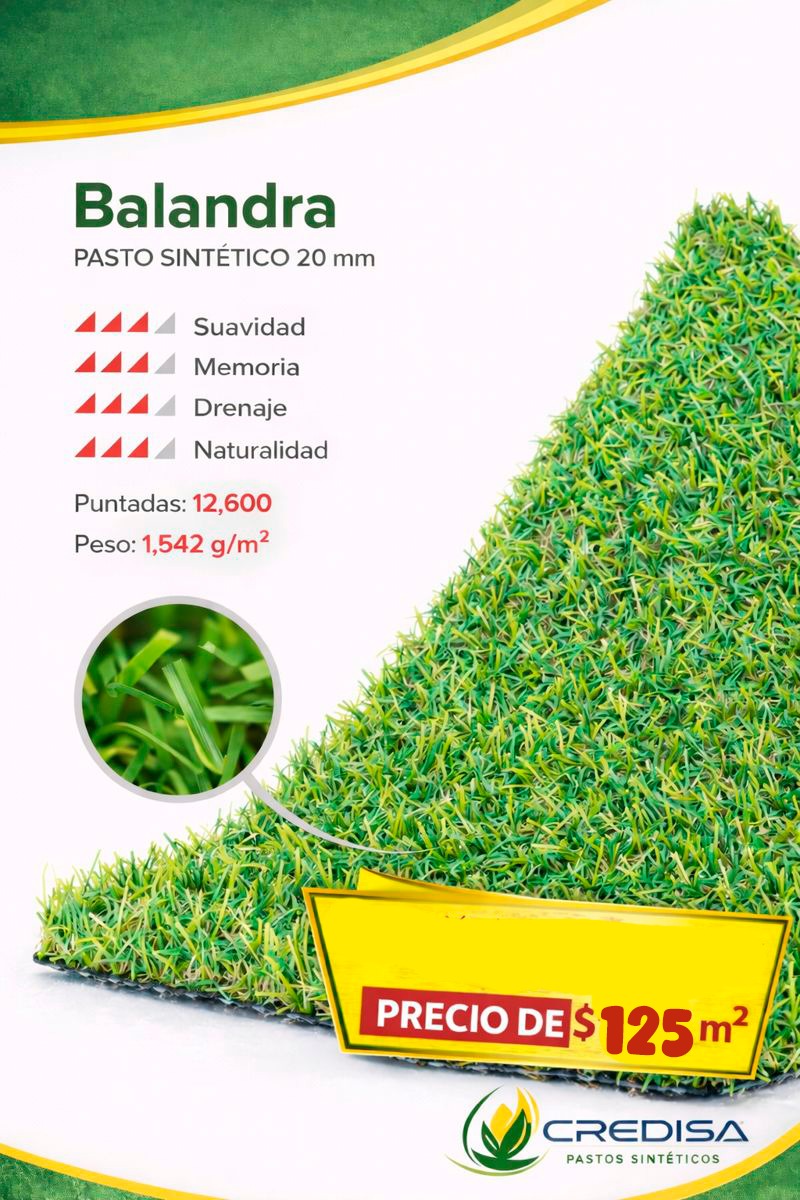 Pasto en oferta 7
