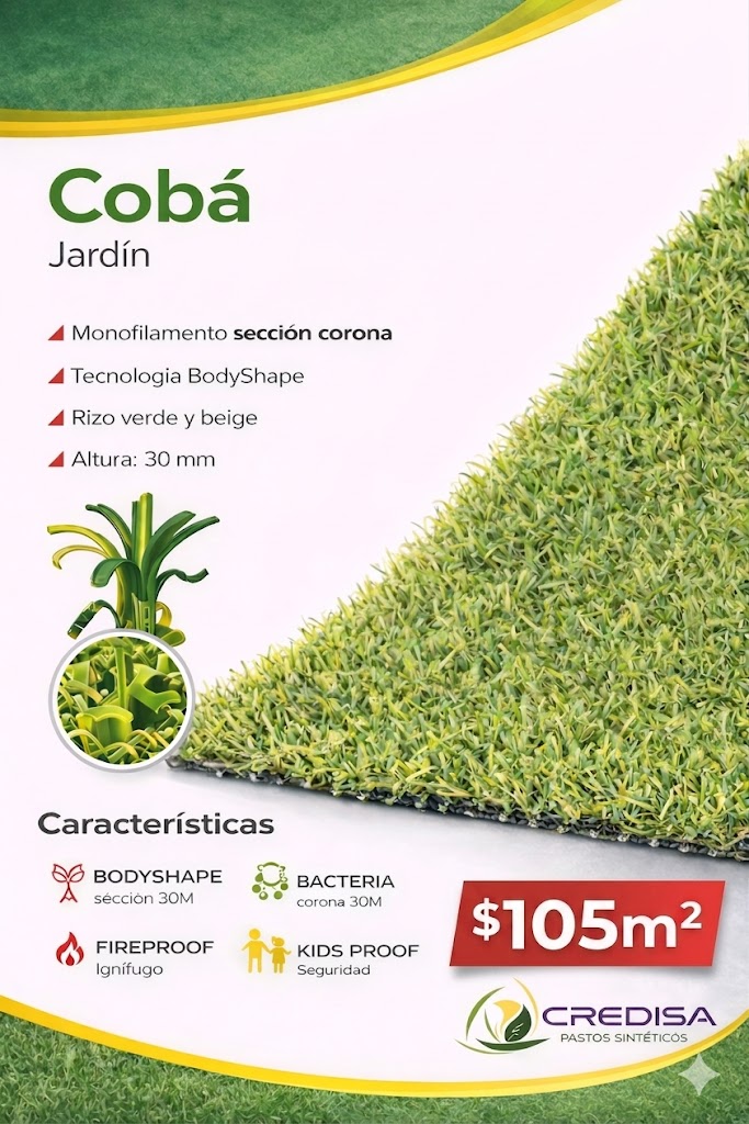 Modelo Oferta Agosto 5